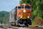 BNSF 6842 Geometry Train